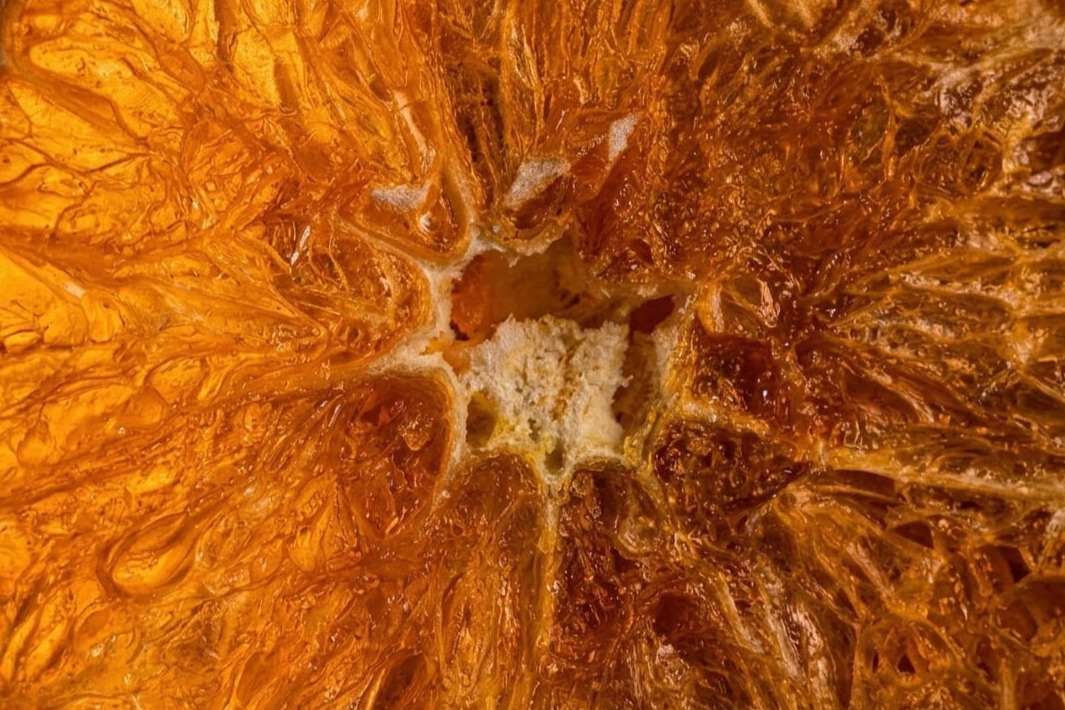 Estrutura interna da laranja liofilizada